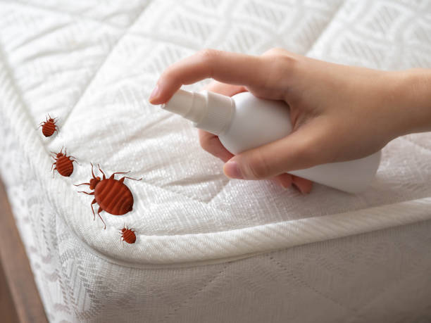 Best Commercial Pest Control Services  in Litchfield, MN