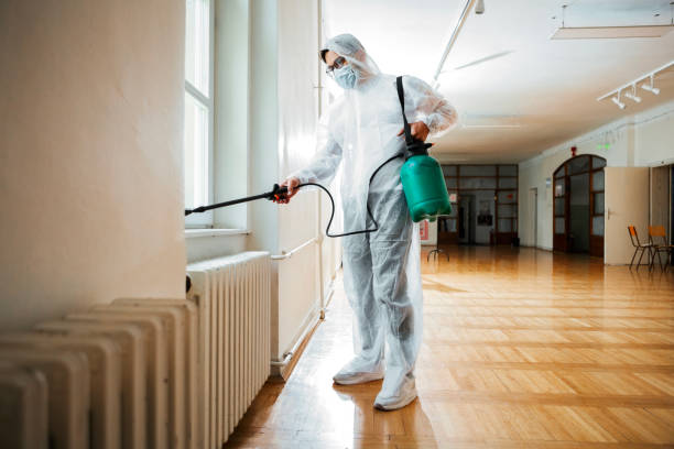 Best Rat Extermination Near Me  in Litchfield, MN