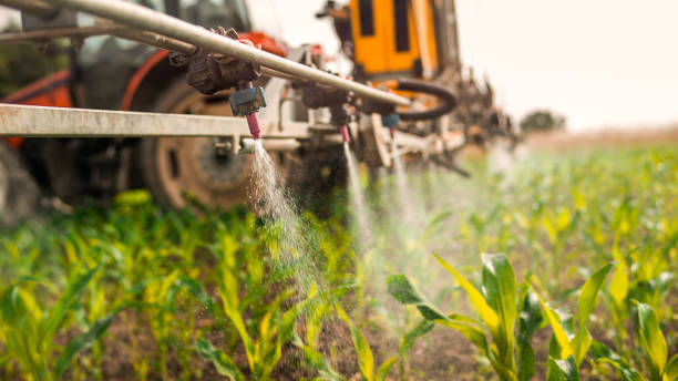 Best Insect Control  in Litchfield, MN