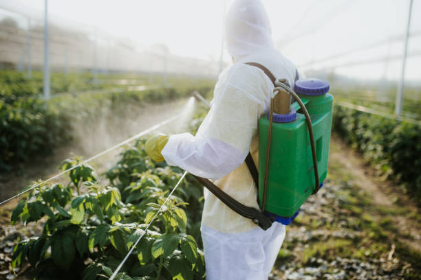 Best Pest Control Near Me in Litchfield, MN